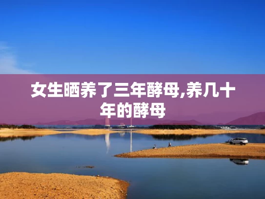澳彩资料站最新版本更新内容,波尔回应和樊振东新约定