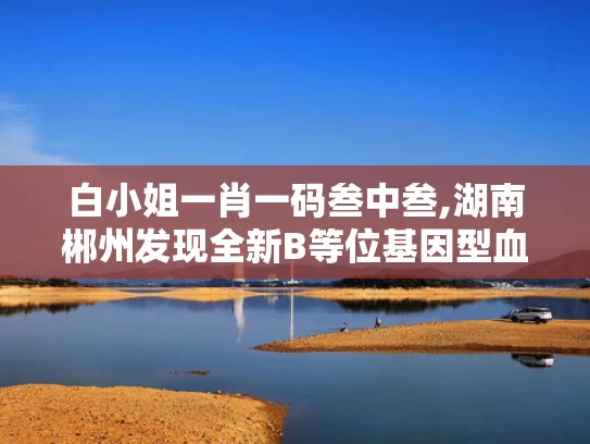 白小姐一肖一码叁中叁,湖南郴州发现全新B等位基因型血型