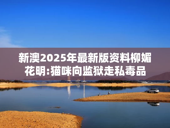 84002澳彩图库	男童车祸身亡 家属：肇事者是干部