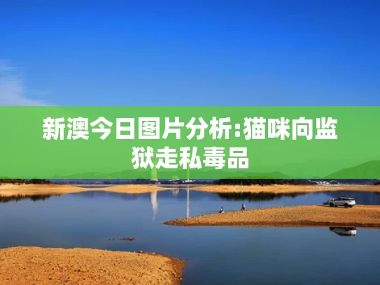 澳彩图库资料图片2024最新版今日挂牌,退役仅2年 34岁阿扎尔已胖成球