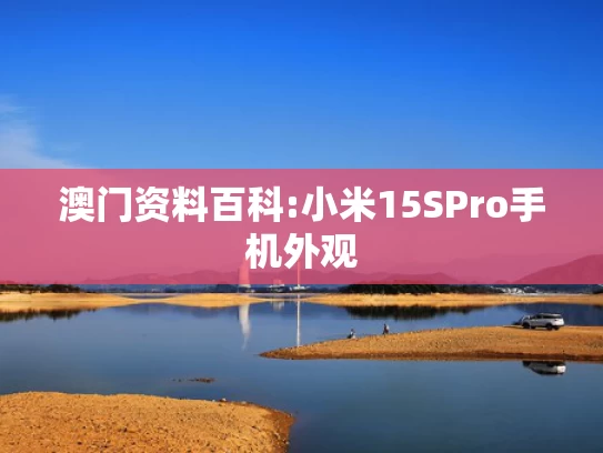 新澳门开奖结果2025开奖记录查询官网,菲律宾街头下水道爬出一女子