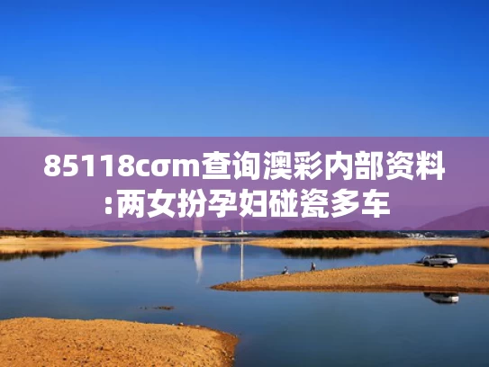 香港正版免费资料大全,董卿再拿话筒回归舞台