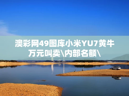 澳彩网49图库	小米YU7黄牛万元叫卖\内部名额\