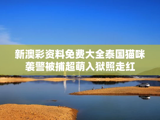新澳彩资料免费大全	泰国猫咪袭警被捕超萌入狱照走红