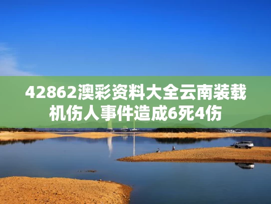 42862澳彩资料大全	云南装载机伤人事件造成6死4伤