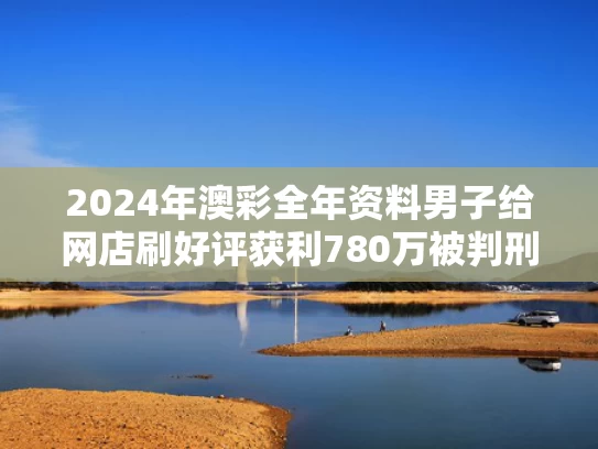 2024年澳彩全年资料	男子给网店刷好评获利780万被判刑