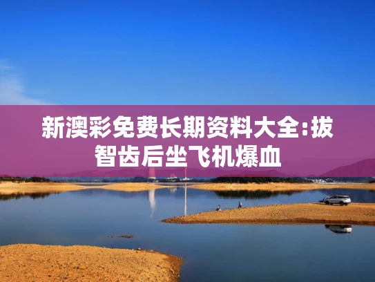 新澳今天新闻,美国对中国产大飞机动手了
