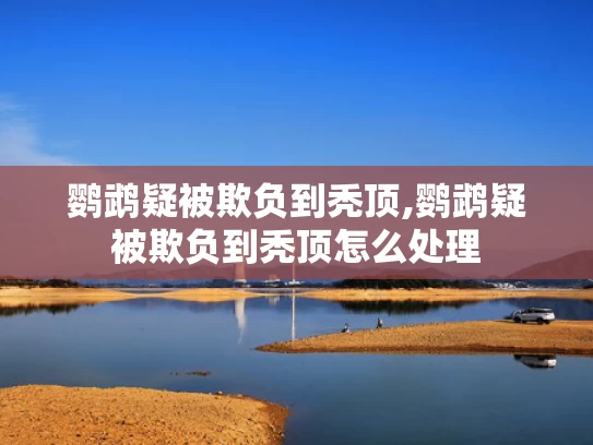 澳彩资料资料大全,金价大跌 网友直呼“亏麻了”