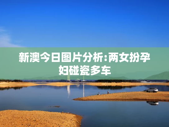 最全资料下载网站,当地称瘦弱骆驼主人此前已养死一只