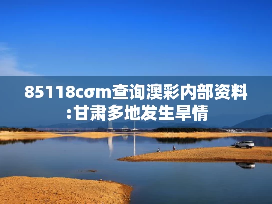 新澳2025年精准资料期期,上海迪士尼有游客打架 警方通报