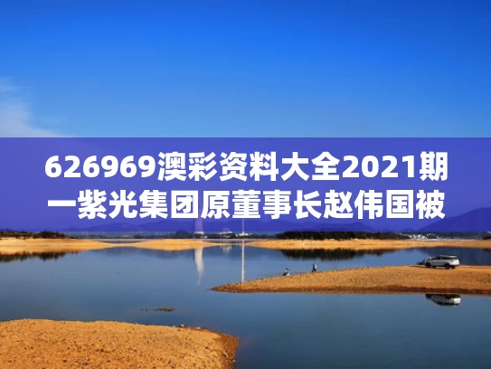 626969澳彩资料大全2021期一	紫光集团原董事长赵伟国被判死缓