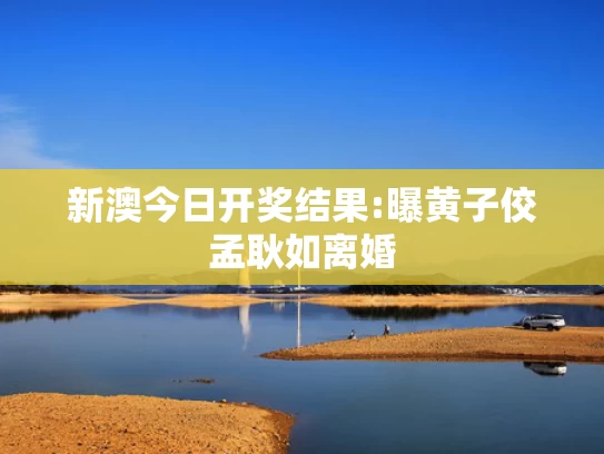 2025年正版资料免费大全7859,小沈阳演唱会女儿登台唱跳遭吐槽