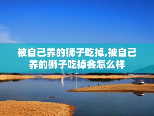 2025年全年资料免费大全,姜同学你在人生大考中已获满分
