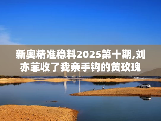 新奥精准稳料2025第十期,刘亦菲收了我亲手钩的黄玫瑰