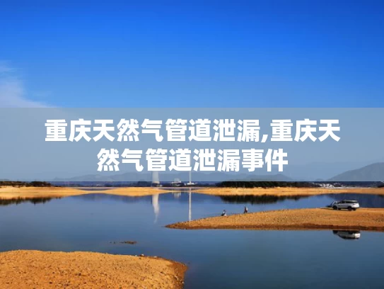 澳彩全年开奖记录,刘诗诗给主持人挡腿
