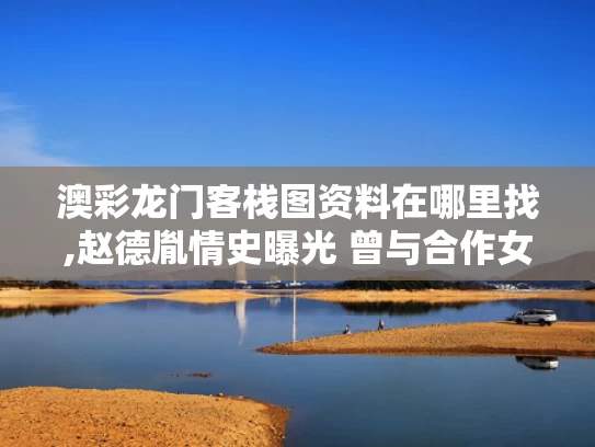 澳彩龙门客栈图资料在哪里找,赵德胤情史曝光 曾与合作女星传绯闻