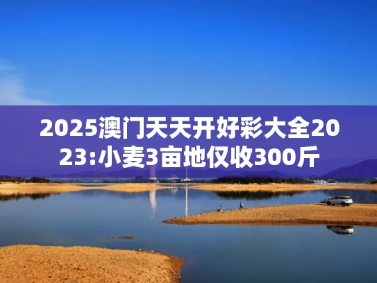 新澳2025年最新版资料网站,郑州黄帝千古情景区辟谣“倒闭”