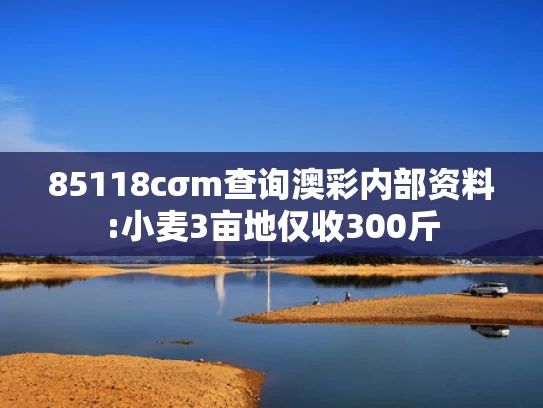 正版澳彩图库	卢东亮任山西省代省长