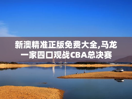 新澳精准正版免费大全,马龙一家四口观战CBA总决赛