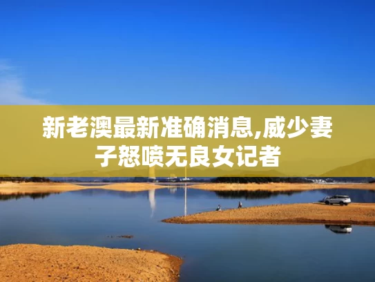 新老澳最新准确消息,威少妻子怒喷无良女记者