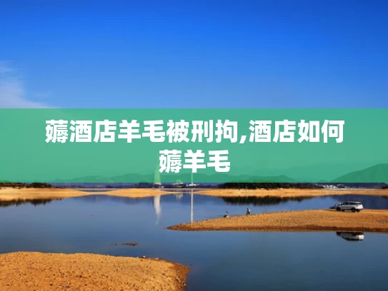 新澳2025年最新版资料,甘薇回应与贾跃亭离婚 否认拿40亿