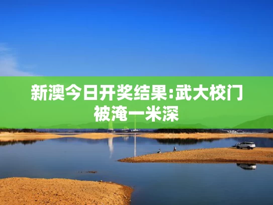 新澳2025年精准资料期期,范志毅独家辣评国足出局