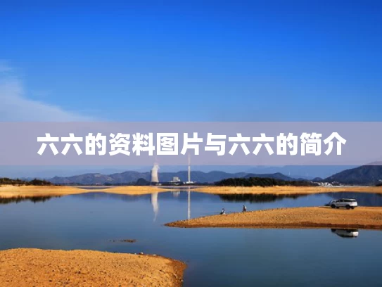 六六的资料图片与六六的简介