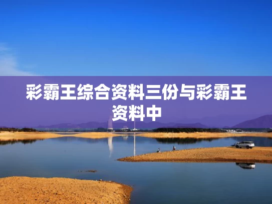 彩霸王综合资料三份与彩霸王资料中