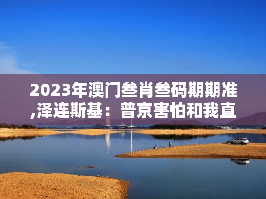2023年澳门叁肖叁码期期准,泽连斯基：普京害怕和我直接谈判