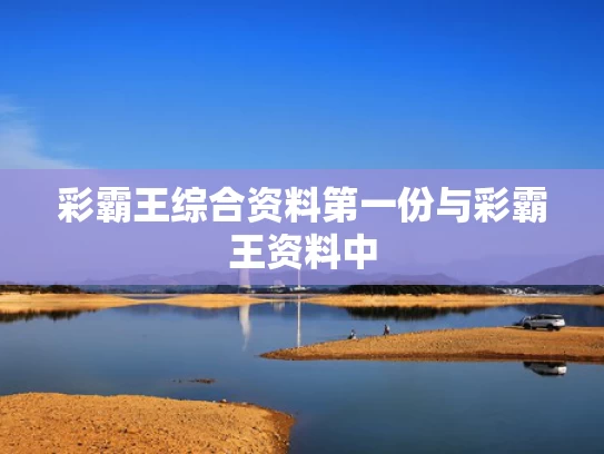 彩霸王综合资料第一份与彩霸王资料中