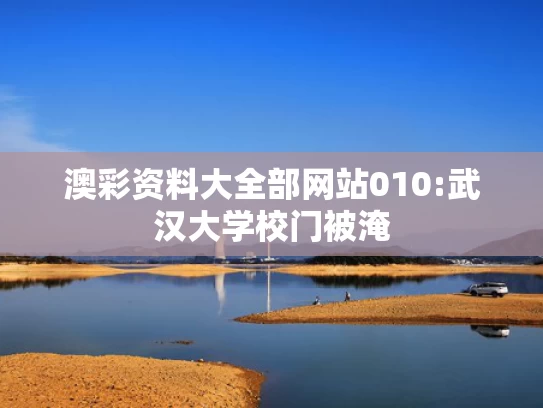 澳彩全年历史图库资料,原价9千4只Labubu拍出2万2