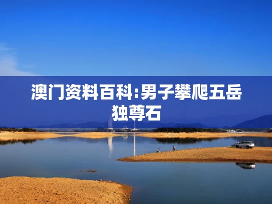 澳彩资料免费长期公开刘伯温?破万亿 以旧换新助推消费升级