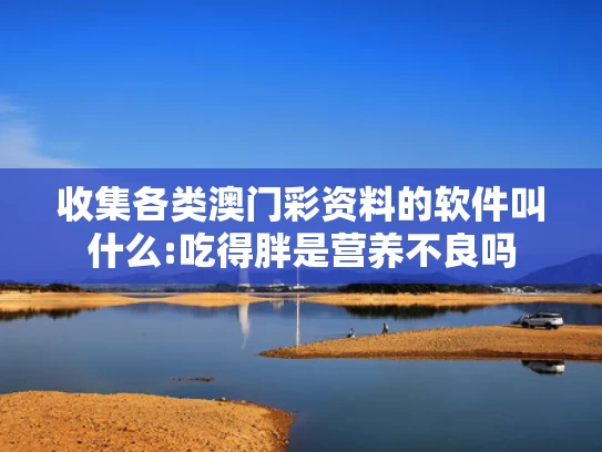 最精准澳彩免费资料	苹果新操作系统今年秋季推出
