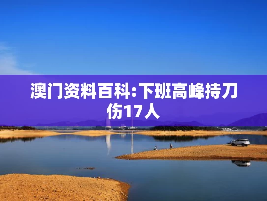 澳彩图库资料库官网,樊振东乒超7连胜