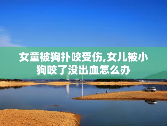 49图库资料免费大全资料澳彩	四川特大伪造货币案详情披露