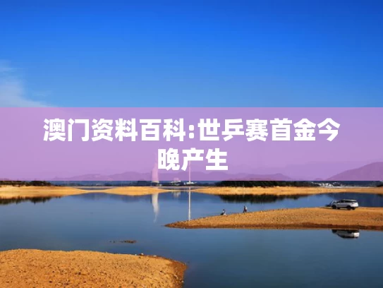 2025最准最精准免费资料看,薄荷色LABUBU拍出108万天价