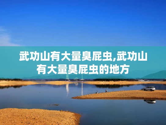 关于新奥精准免费理念的深度解析,娃哈哈纯净水由今麦郎代工？客服回应