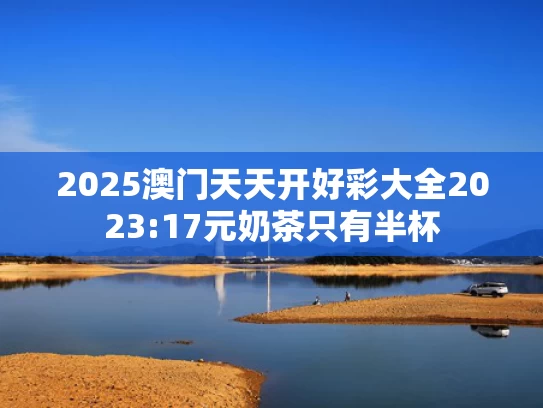 2025年6月11日