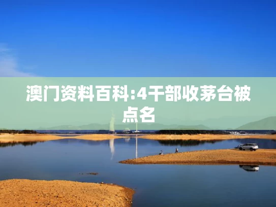 最精准澳彩资料免费大全	印度航空发表坠机声明