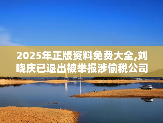 2025年正版资料免费大全,刘晓庆已退出被举报涉偷税公司股东