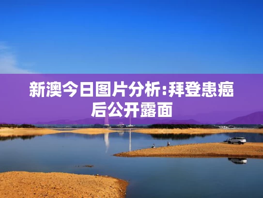 新澳天天开奖资料大全最新版生肖出永火,上海海关扣留5961个假泡泡玛特