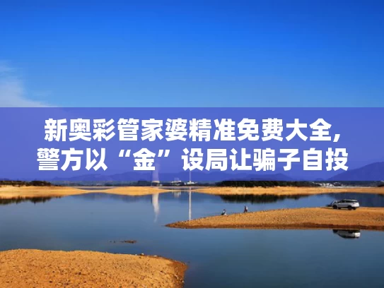 新奥彩管家婆精准免费大全,警方以“金”设局让骗子自投罗网