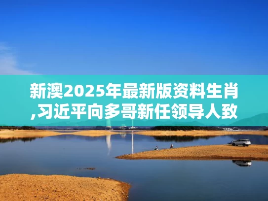 新澳2025年最新版资料生肖,习近平向多哥新任领导人致贺电