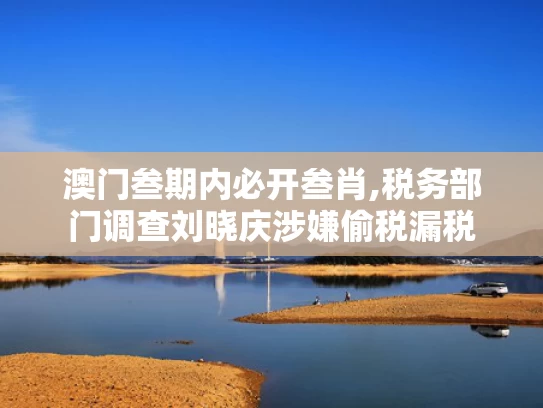澳门叁期内必开叁肖,税务部门调查刘晓庆涉嫌偷税漏税