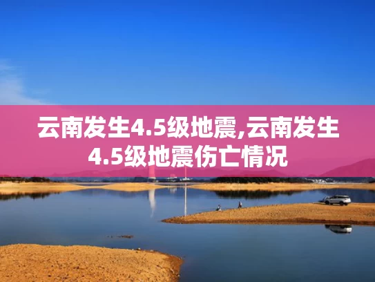 澳49图库图资料2024,王楚钦赛前打台球放松
