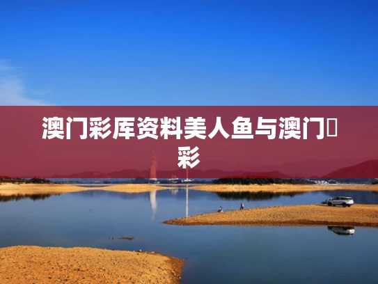 澳门彩厍资料美人鱼与澳门褔彩