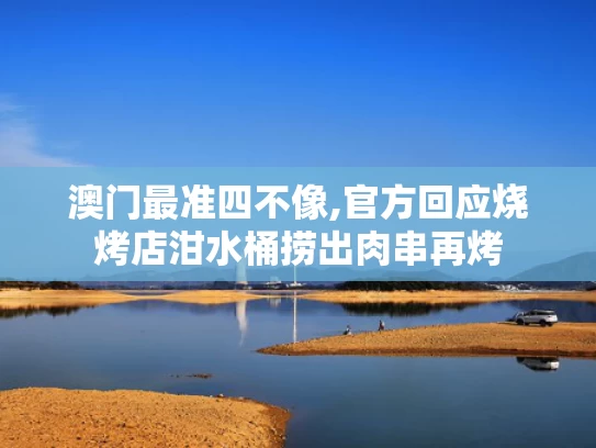 澳彩资料大全正版资料免费,墨西哥总统对网红遭枪击事件发声