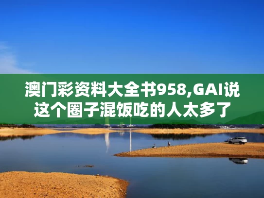 澳门彩资料大全书958,GAI说这个圈子混饭吃的人太多了