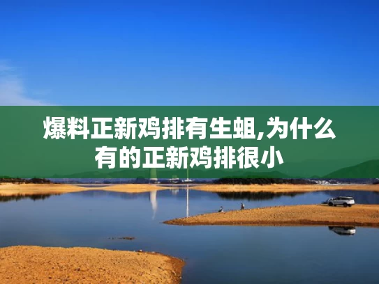 澳彩17图库资料库官网,单依纯说Grace超绝腰臀比