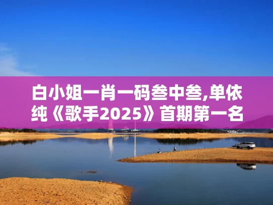 白小姐一肖一码叁中叁,单依纯《歌手2025》首期第一名